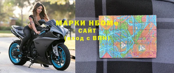 СК Новодвинск