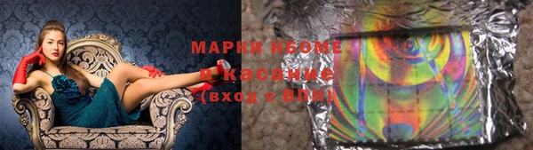 СК Новодвинск