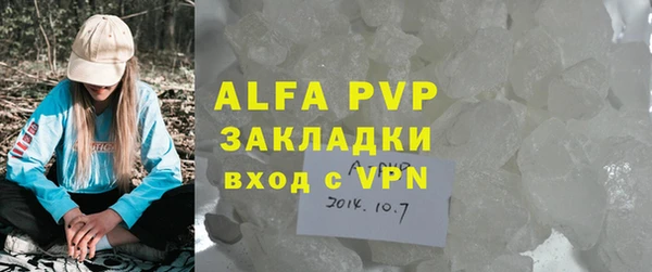 СК Новодвинск